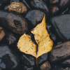 “Product photography for an Instagram store” - Image 3