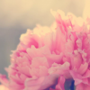 "Master of Processing and Retouching" - Image 4
